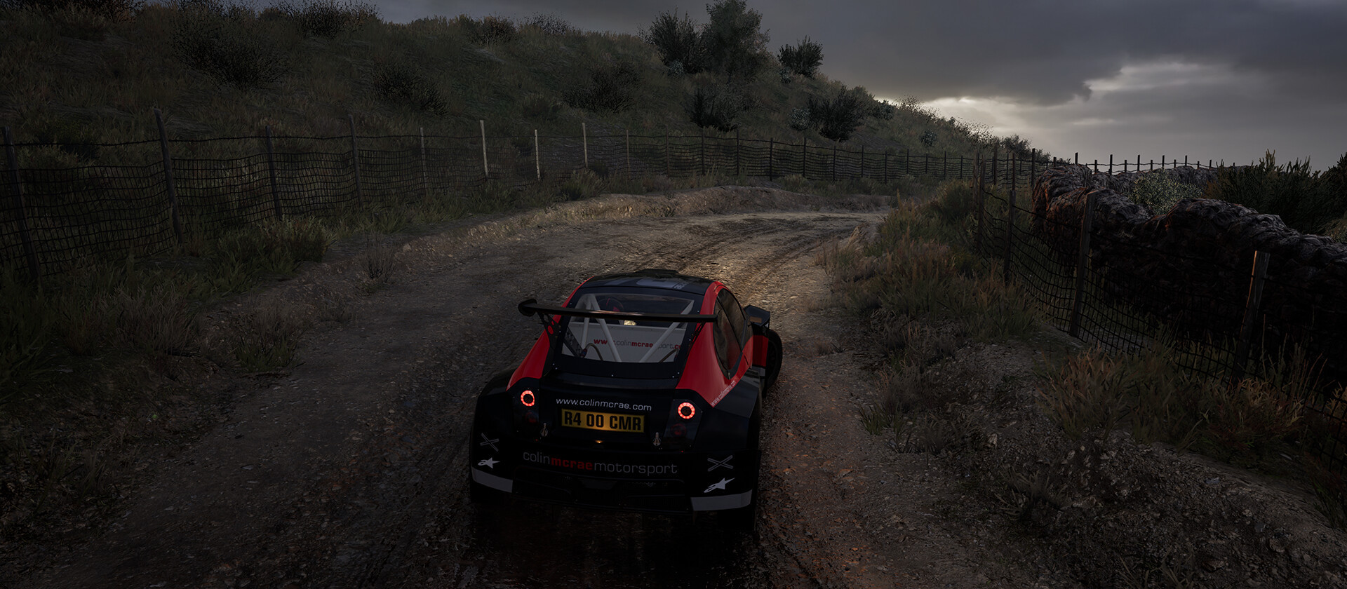EA Sport WRC