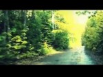 DiRT 3 - Developer Diary (Développeurs) DiRT 3 - Developer Diary (Développeurs)