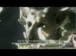 The Last Guardian Sneak Peak (Evénement) The Last Guardian Sneak Peak (Evénement)
