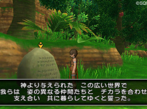 Dragon Quest X - Wii U
