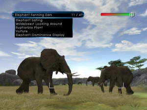 Wild Earth : African Safari - Wii