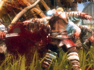 Viking : Battle for Asgard - PS3