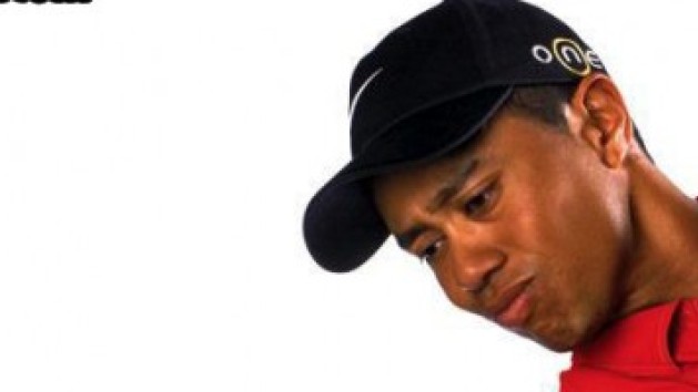 Tiger Woods PGA Tour 2002