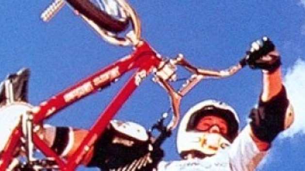 Dave Mirra Freestyle Bmx
