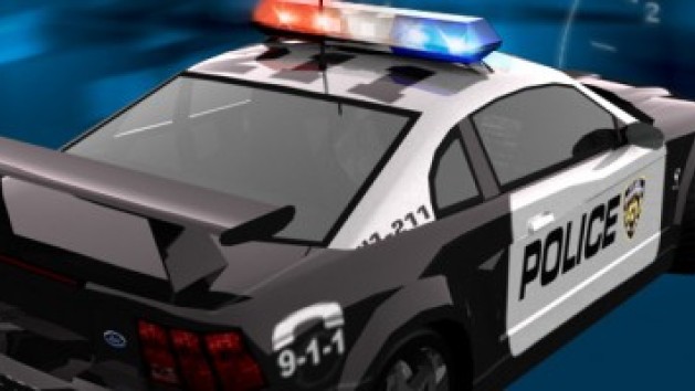 Need For Speed Hot Pursuits 2