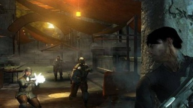 Dark Sector