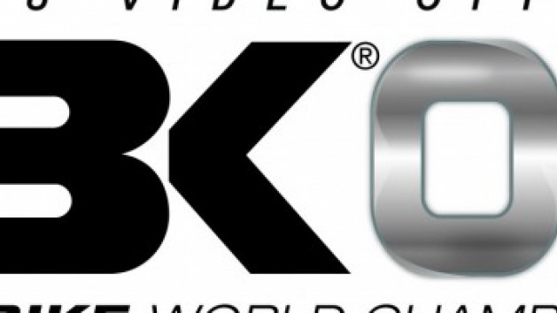 SBK 08 : Superbike World Championship