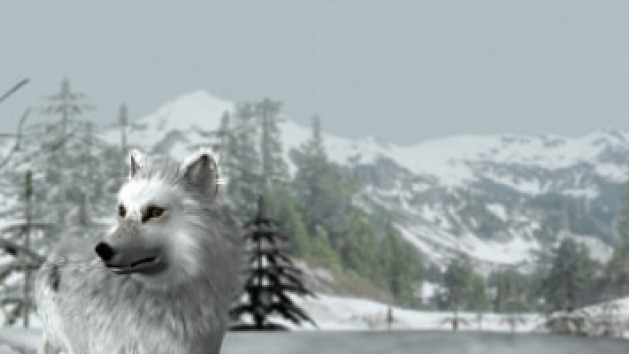 Nancy Drew : Le Loup Blanc d'Icicle Creek