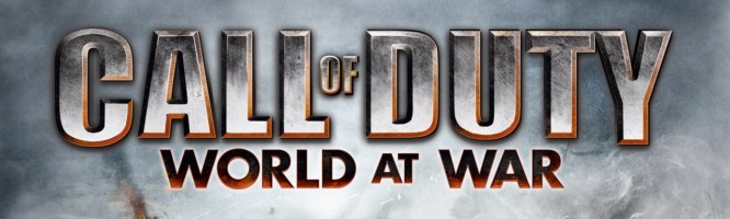 Call of Duty : World at War - DS