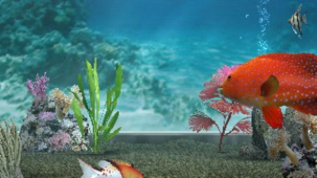 My Aquarium