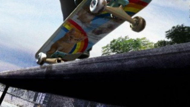 Skate 3