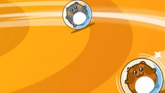 Hamster Ball