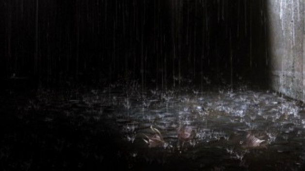 Heavy Rain : Move Edition