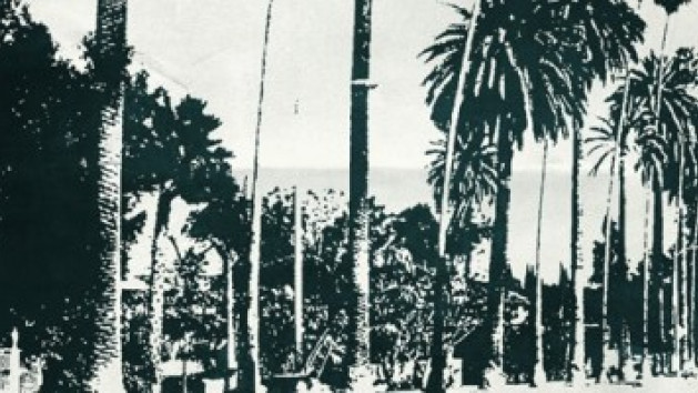 James Noir's Hollywood Crimes