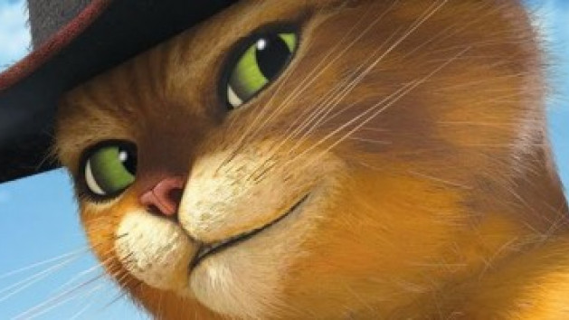 Le Chat Potté
