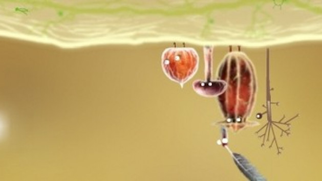 Botanicula