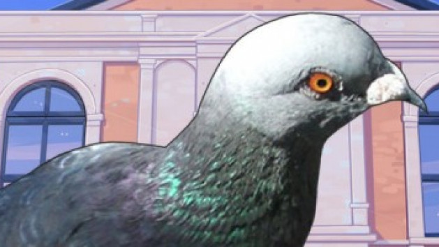 Hatoful Boyfriend
