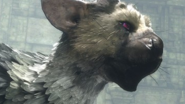 The Last Guardian