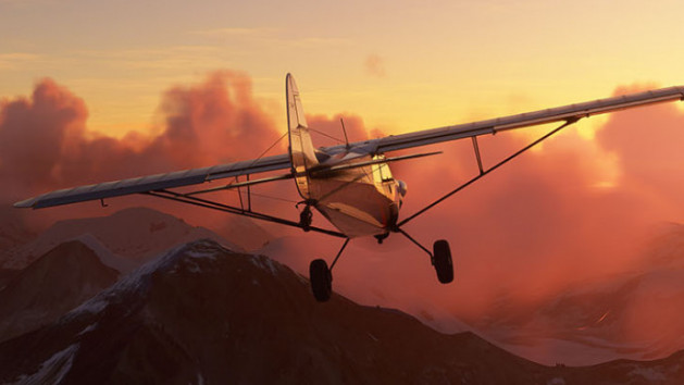 Microsoft Flight Simulator