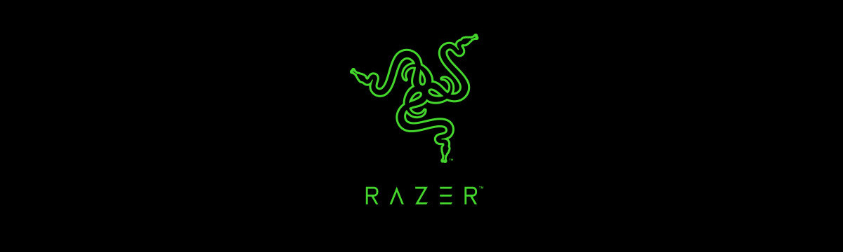 RAZER - Société