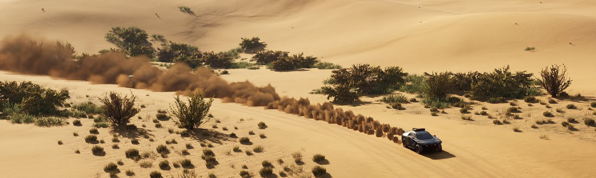 Dakar Desert Rally - PC