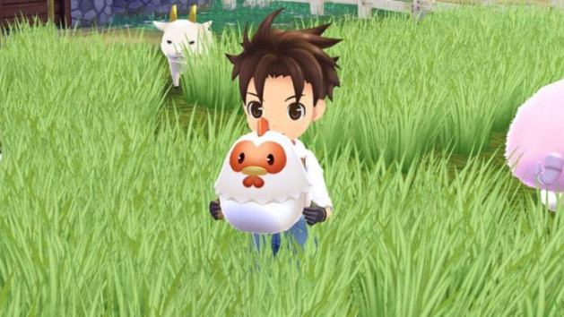 Story of Seasons : A Wonderful Life