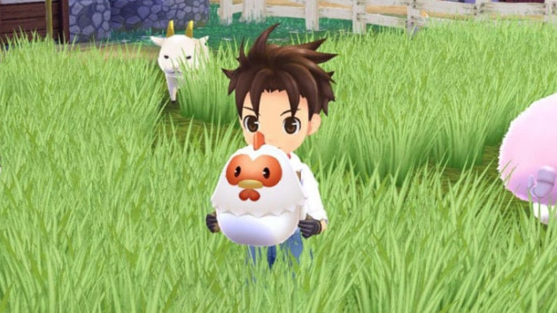 Story of Seasons : A Wonderful Life