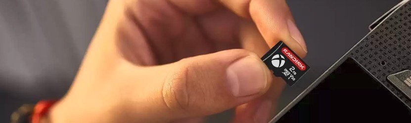 SanDisk microSD ROG Xbox Ally (X) 512 Go - PC