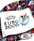 Euro 2000 - PC