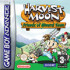 Harvest Moon : Friends of Mineral Town - GBA