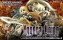 Yggdra Union : We'll Never Fight Alone - GBA