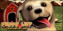 Puppy Luv : Votre Nouvel Ami - DS