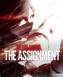 The Evil Within : The Assignment - PS4