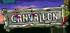 Canvaleon - Wii U