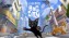 Little Kitty, Big City - Xbox One