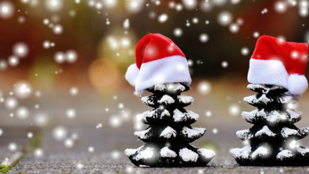 Dossier de Noël 2021