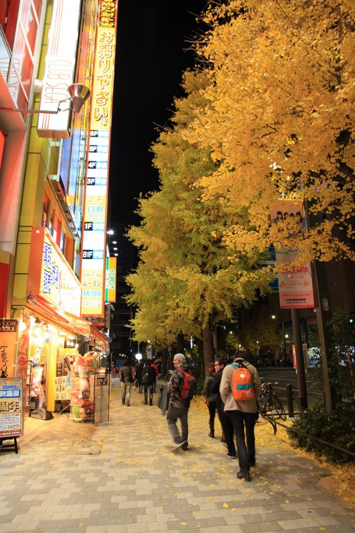 Promenade à Akihabara