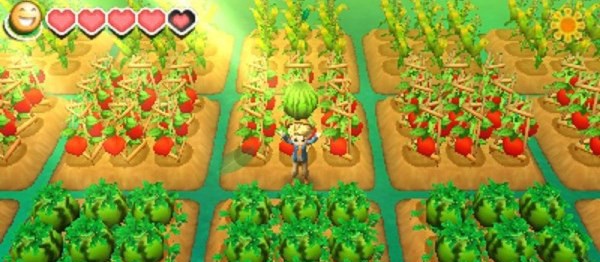 Story of Seasons