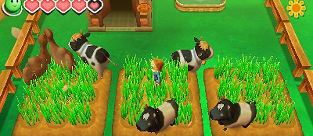 Story of Seasons