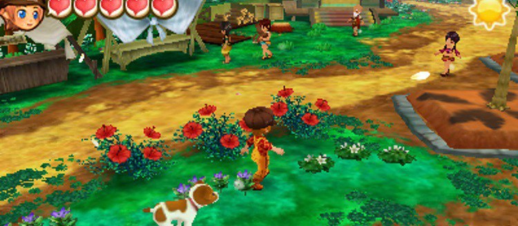 Story of Seasons : Trio of Towns