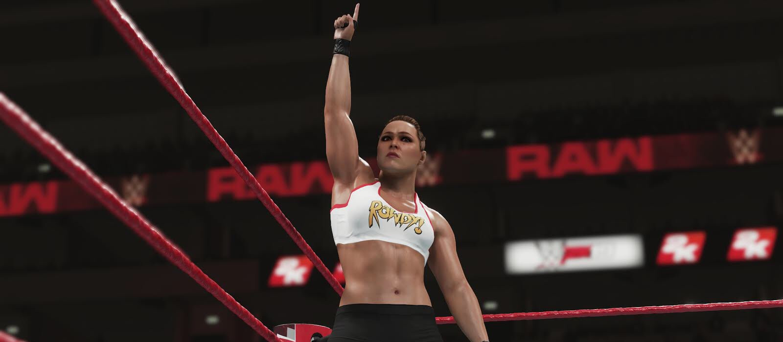 WWE 2K19