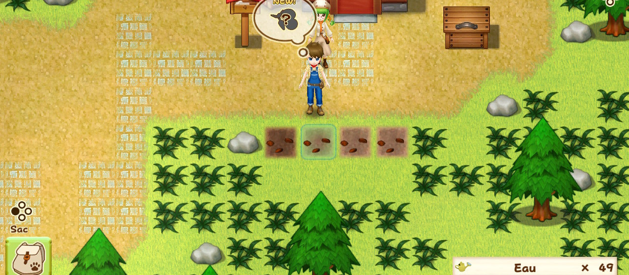 Harvest Moon : Lumière d'Espoir - Edition Spéciale