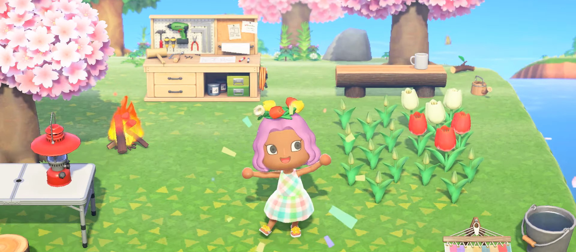 Animal Crossing : New Horizons