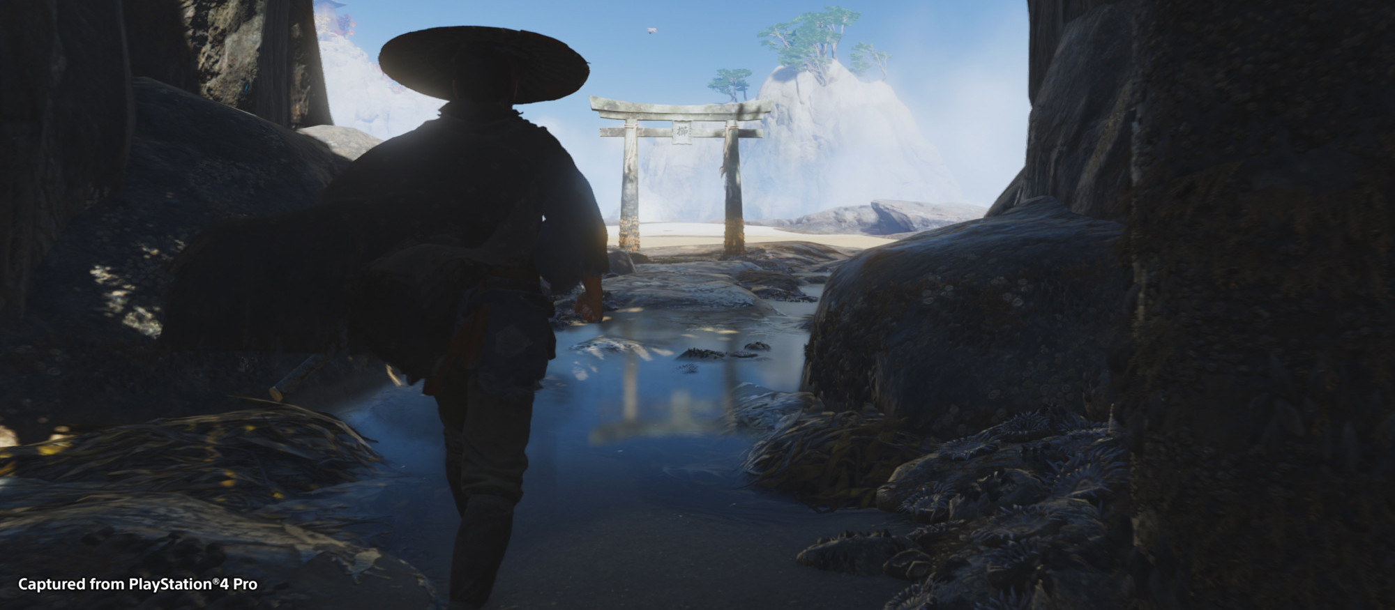 Ghost of Tsushima