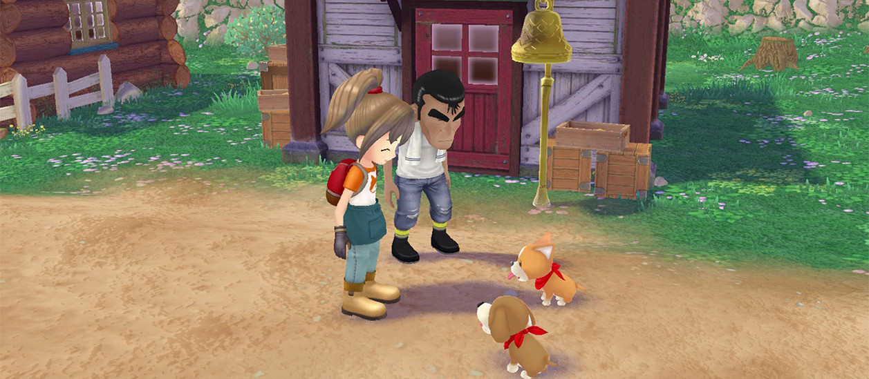 Story of Seasons : A Wonderul Life