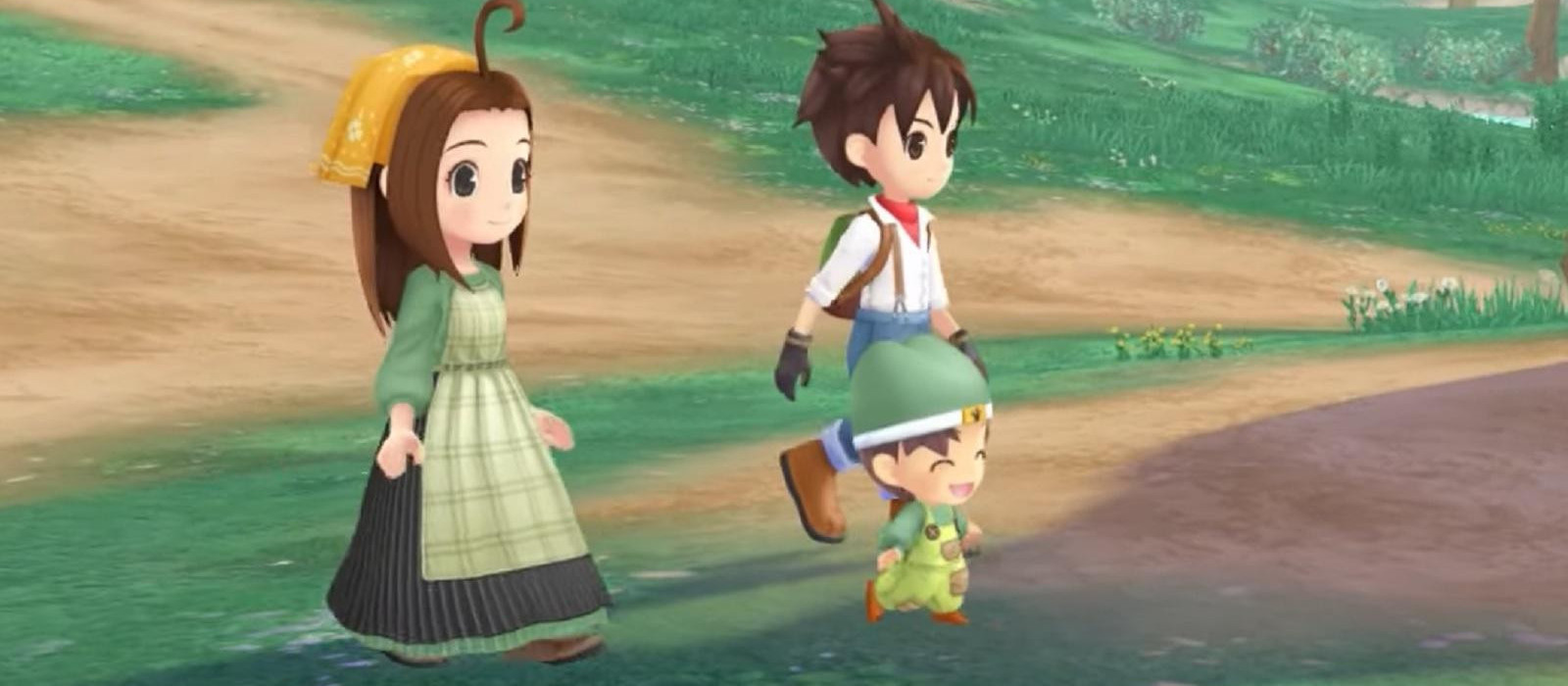 Story of Seasons : A Wonderful Life