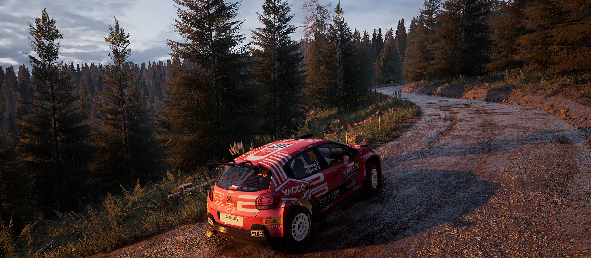 EA Sport WRC