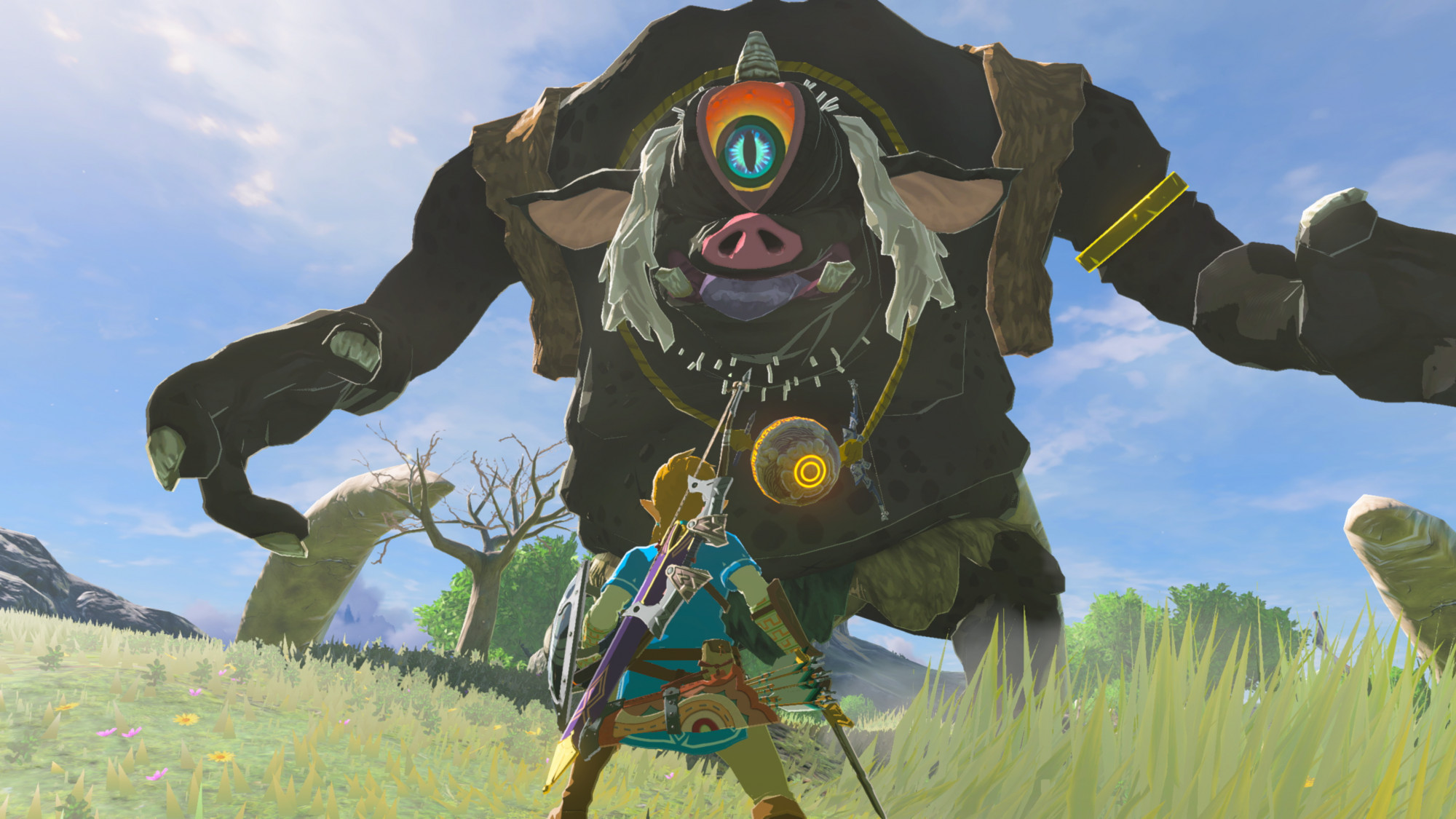 The Legend of Zelda : Breath of the Wild Ninitendo Switch 2 Edition