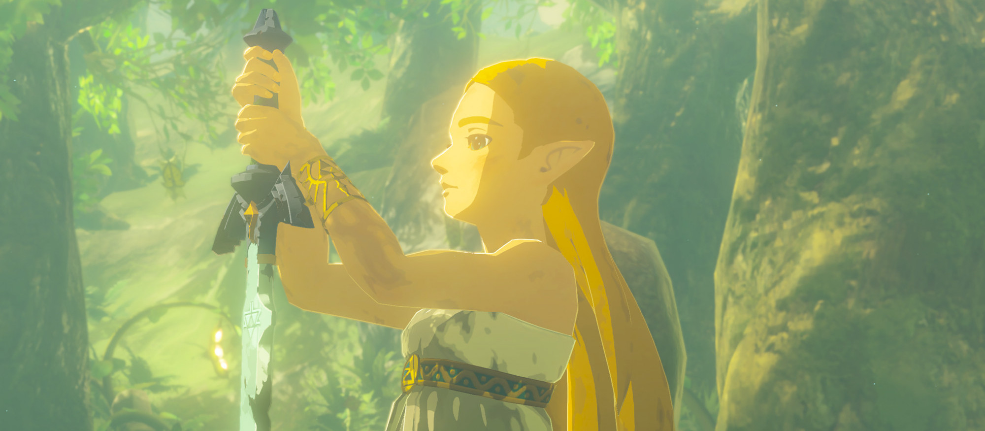 The Legend of Zelda : Breath of the Wild Ninitendo Switch 2 Edition