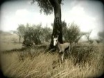 Far Cry 2 - Environment Trailer (Teaser)